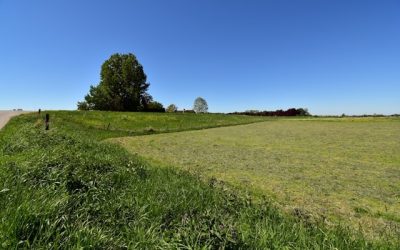 Wat zijn leuke manieren voor jongeren om op vakantie te gaan in eigen land?